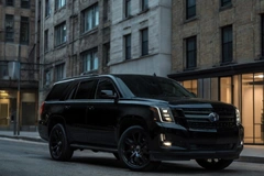 Executive Protection