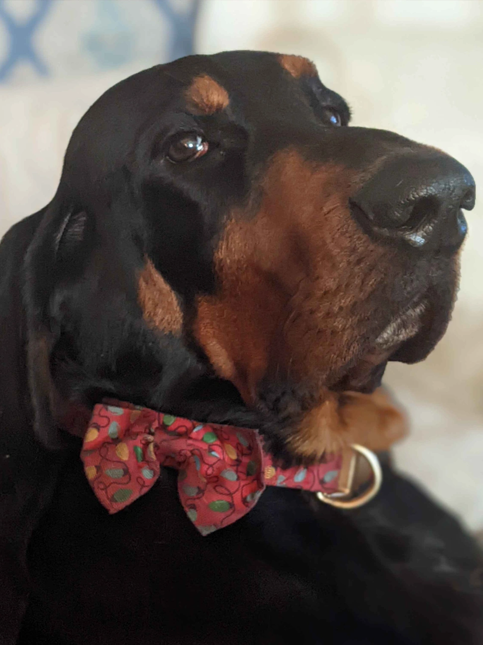 Officer Buddy, TESS Global mascot